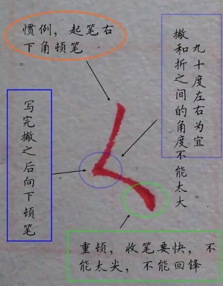 練字方法圖片基礎筆畫硬筆書法9個基本筆畫圖解